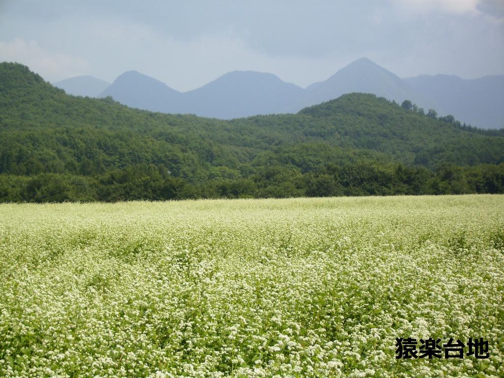 Hotel Osakaya Shimogo 외부 사진